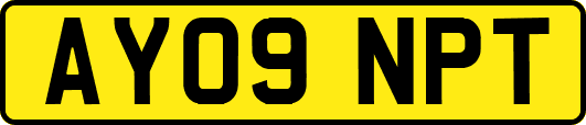 AY09NPT