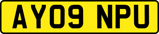 AY09NPU