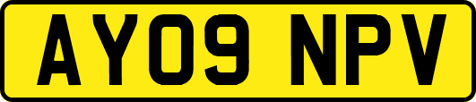 AY09NPV