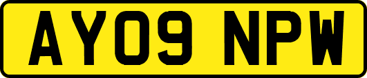 AY09NPW