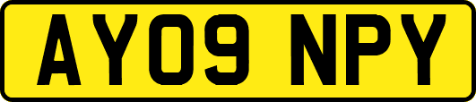 AY09NPY