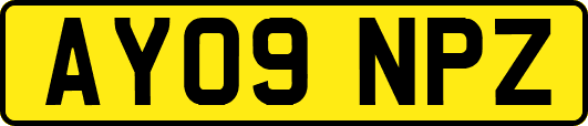 AY09NPZ