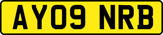 AY09NRB