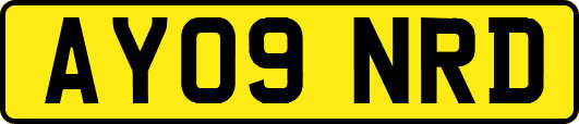 AY09NRD