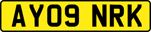AY09NRK