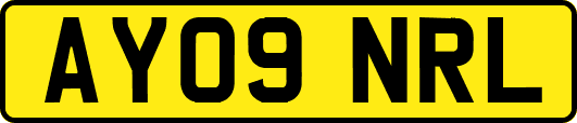 AY09NRL