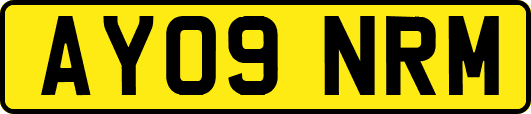 AY09NRM