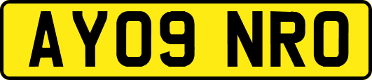 AY09NRO