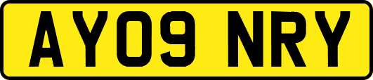 AY09NRY