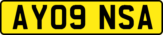 AY09NSA
