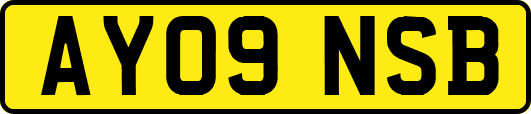 AY09NSB