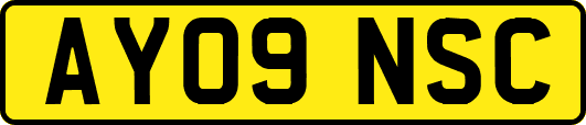 AY09NSC