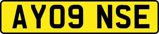 AY09NSE