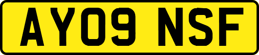 AY09NSF