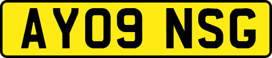 AY09NSG