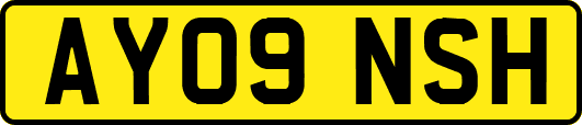 AY09NSH