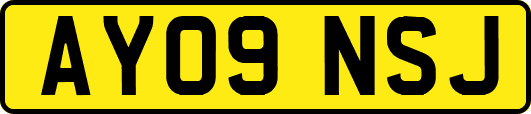 AY09NSJ