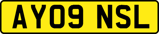 AY09NSL