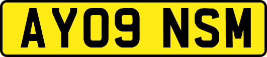 AY09NSM