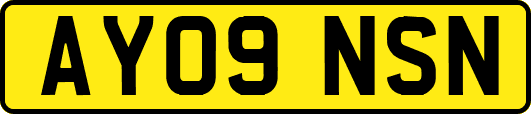 AY09NSN