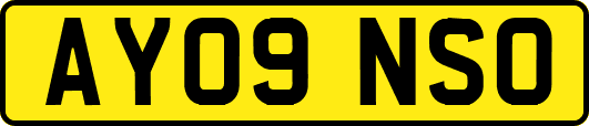 AY09NSO