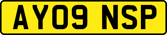 AY09NSP
