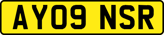 AY09NSR