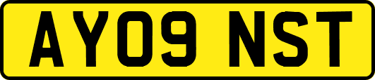 AY09NST