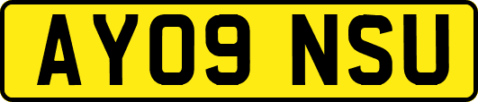 AY09NSU