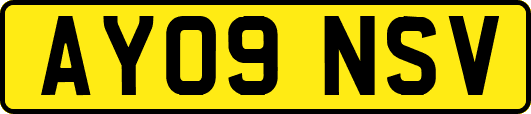 AY09NSV