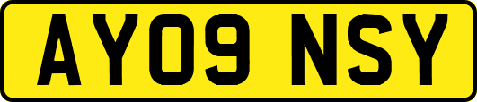 AY09NSY