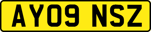 AY09NSZ