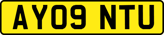 AY09NTU