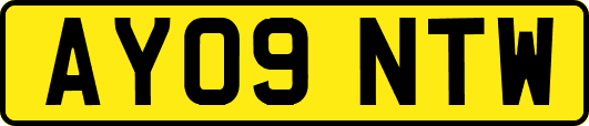 AY09NTW