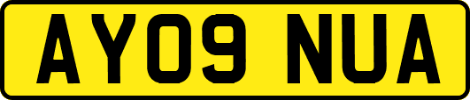 AY09NUA