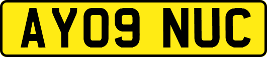 AY09NUC