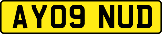 AY09NUD