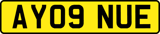AY09NUE