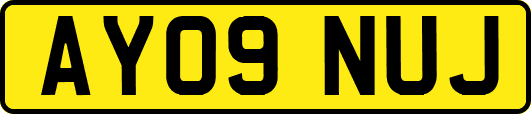 AY09NUJ