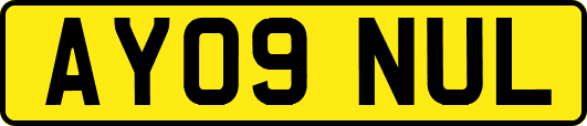 AY09NUL