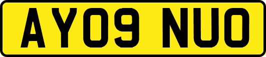 AY09NUO