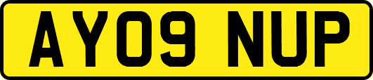 AY09NUP