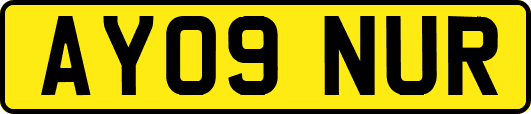 AY09NUR