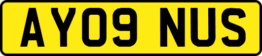 AY09NUS