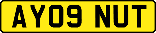 AY09NUT