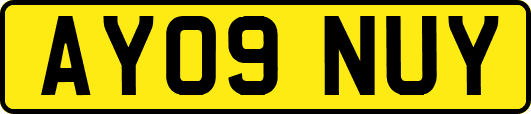 AY09NUY