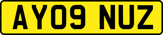 AY09NUZ