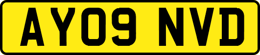 AY09NVD
