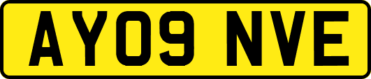 AY09NVE