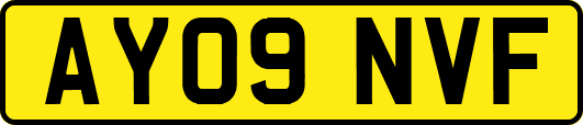 AY09NVF